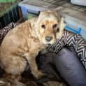 Photo of Sandy