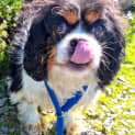 Photo of Maggie