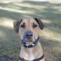 Photo of Wilfred