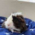 Photo of Leonard