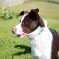 Photo of Franklin