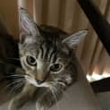Photo of Lindy