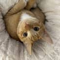 Photo of Fleur