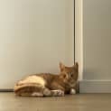 Photo of Fleur