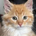 Photo of Flynt
