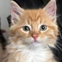 Photo of Flynt