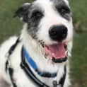 Photo of Murphy