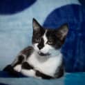 Photo of Vivien