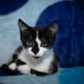 Photo of Vivien