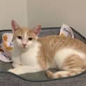 Photo of Jasper