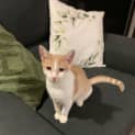 Photo of Jasper