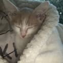 Photo of Jasper