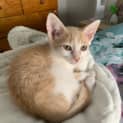 Photo of Jasper
