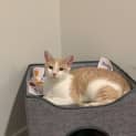 Photo of Jasper