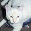Photo of Roger