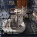 Photo of Tabitha
