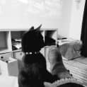 Photo of Tipsy