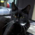 Photo of Kira