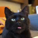 Photo of Spooky