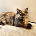 Photo of Sherry