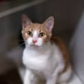 Photo of Mork
