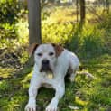 Photo of Lowanna