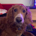 Photo of Doug