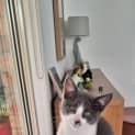 Photo of Caroline