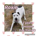 Photo of Roxie