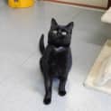 Photo of Wednesday