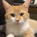 Photo of Moonbeam