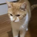 Photo of Moonbeam