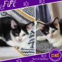 Photo of Fi Fi