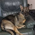 Photo of Jazz