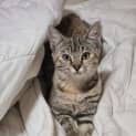 Photo of Zali ππΎ