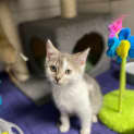 Photo of Sugar