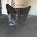 Photo of Dianna