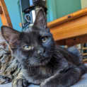Photo of Constance