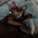 Photo of Luca