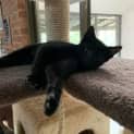 Photo of Luca