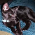 Photo of Luca