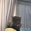 Photo of Jiji