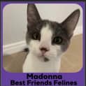 Photo of Madonna
