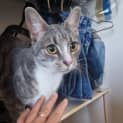 Photo of Fiona