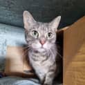Photo of Bella