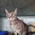 Photo of Bella