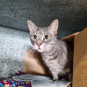 Photo of Bella