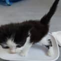 Photo of Tofu