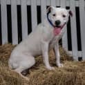 Photo of D796 Chloe