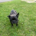 Photo of Prada